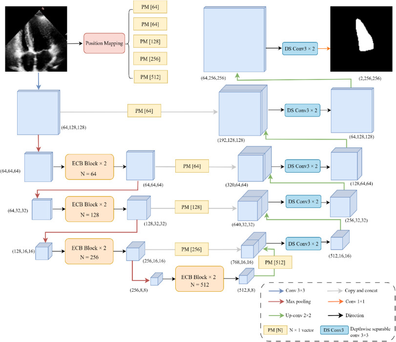 JANet: A joint attention network for balancing accuracy and speed in left ventricular ultrasound video segmentation